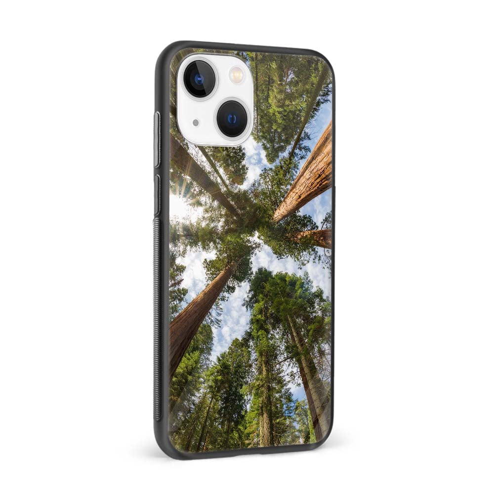 Buy Tree Sky Glass Back Phone Case/Cover Online